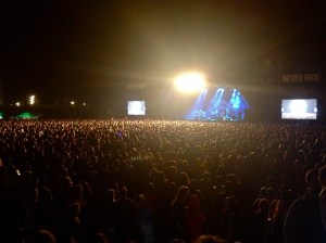 A view onto the crowd at the festival