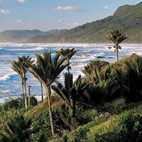 29497132_1611271005594188_5963420474530507261_n